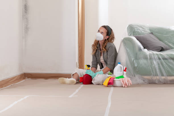 Reliable Mold Removal contractor in Clinton, TN by WQB Mold Removal